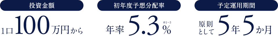 投資金額
