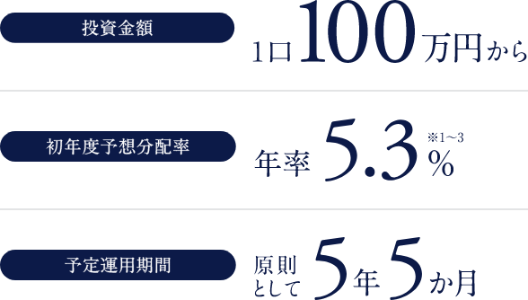 投資金額